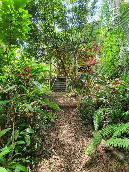 Cabina Gan Eden - Walking Distance From River Portalon Экстерьер фото